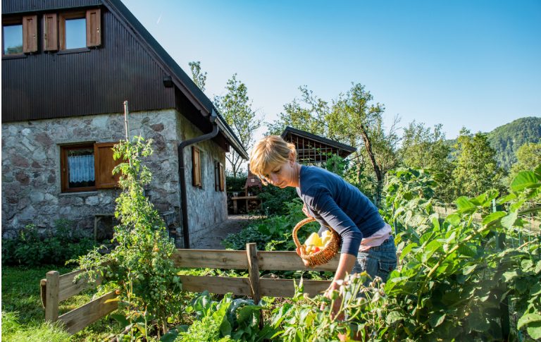 10 Backyard Homestead Ideas You Can Start on Less Than an Acre