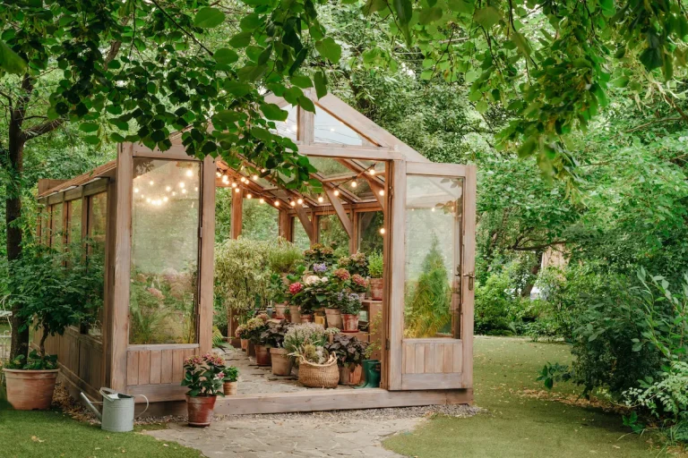 12 Greenhouse Ideas for Small Backyards and Beginner Gardeners