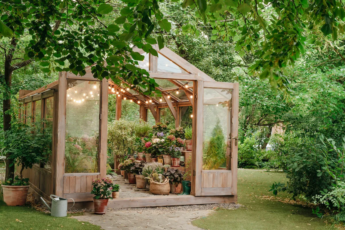 12 Greenhouse Ideas for Small Backyards and Beginner Gardeners
