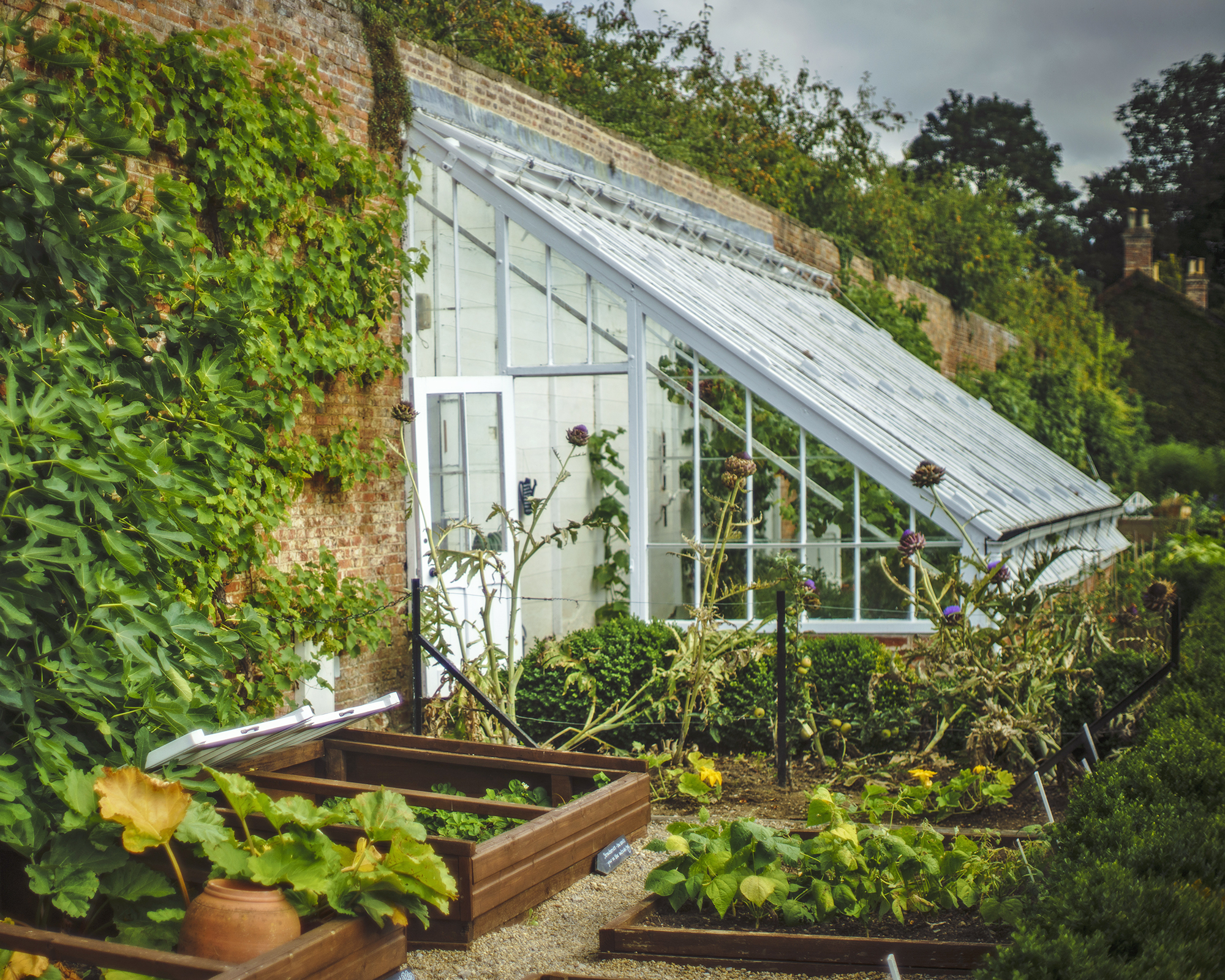 A Lean-To Greenhouse Against a Sunny Wall