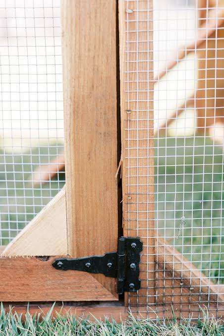 Build a Fully Framed Predator-Resistant Run Beside the Coop