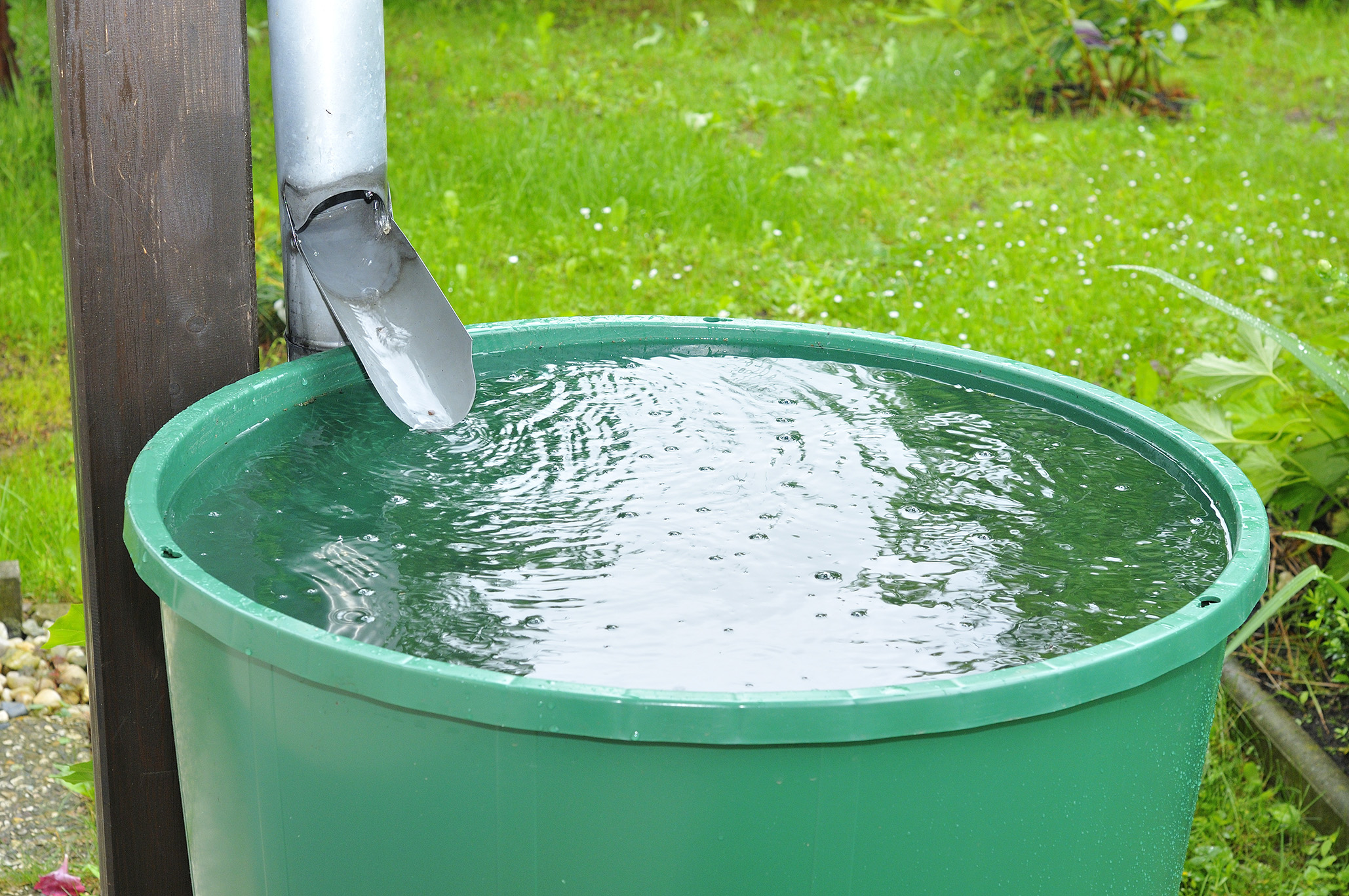Collect Rainwater Where Local Rules and Conditions Allow