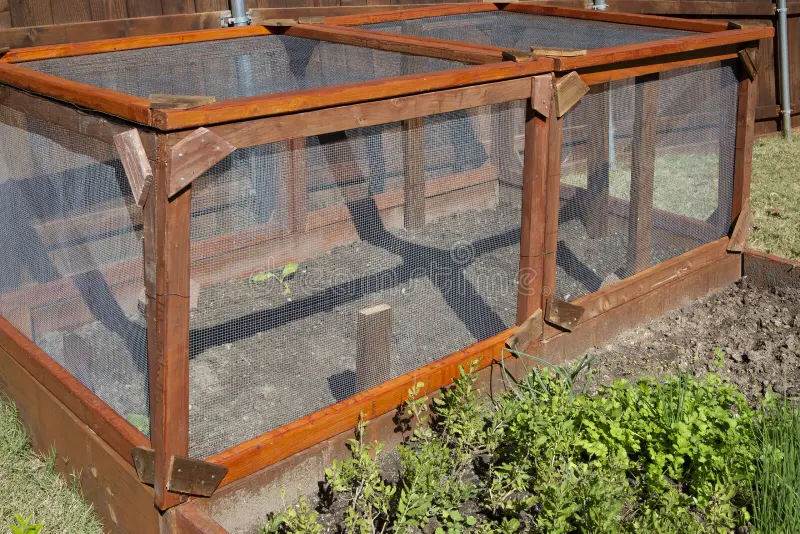 Create Protected Grazing Frames Inside the Run
