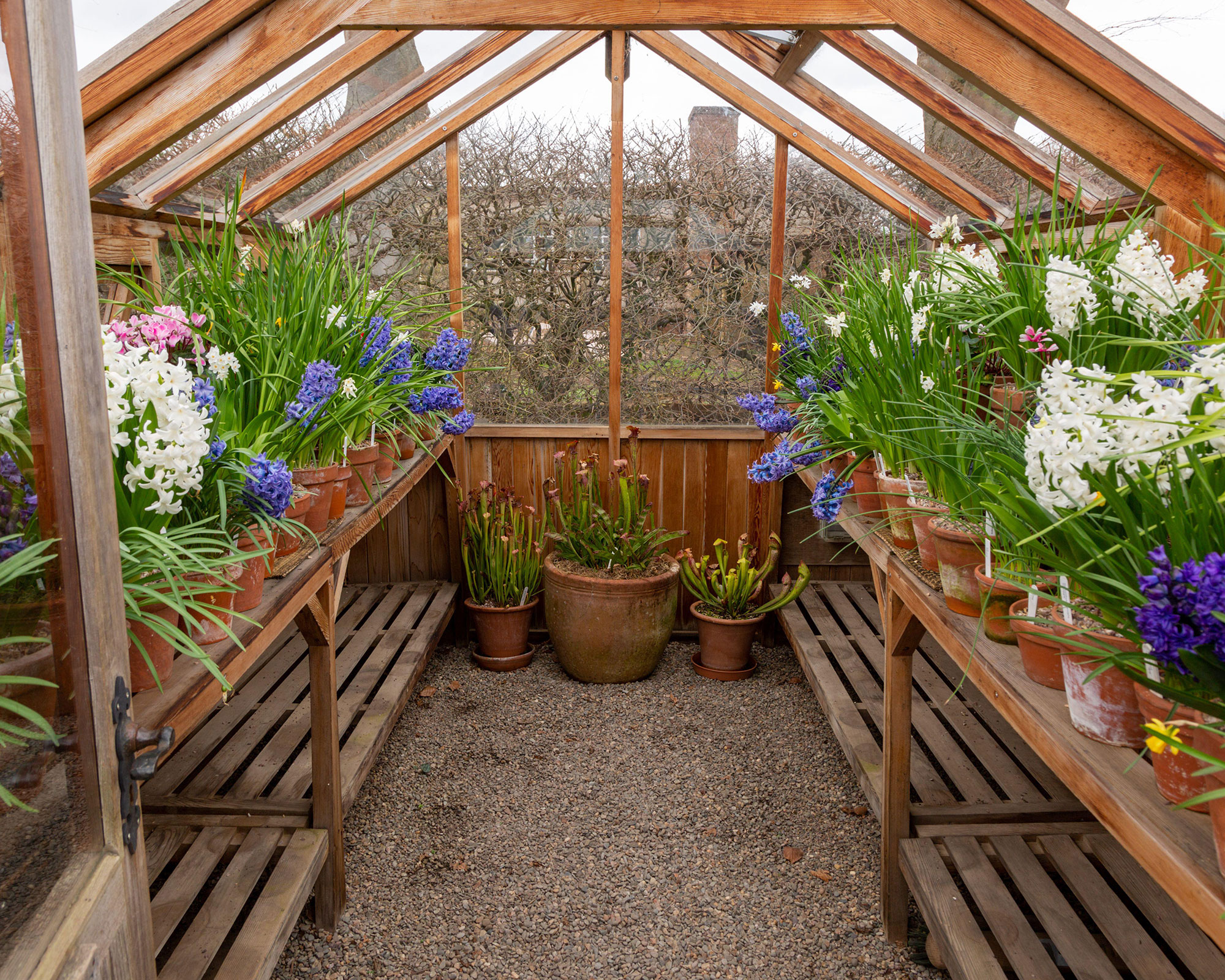 Shelf Greenhouse for Seed Starting