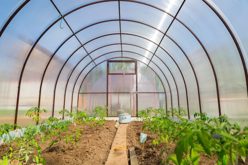 Small Polycarbonate Greenhouse for Better Durability