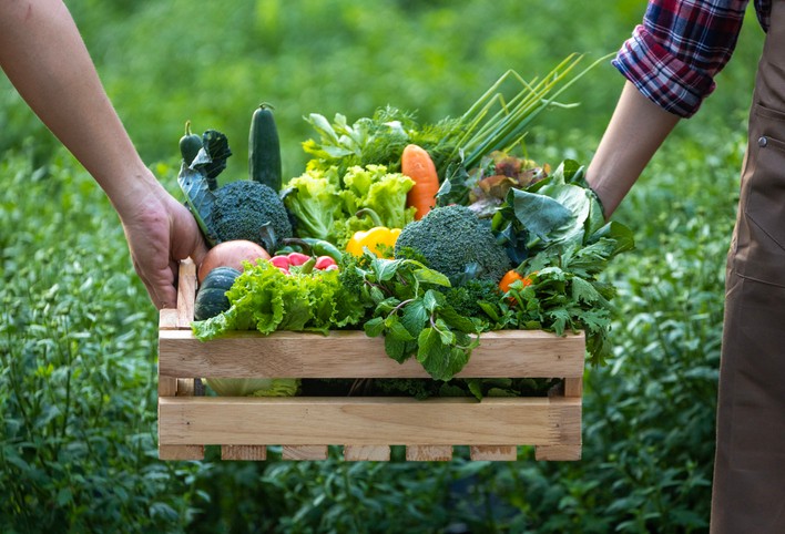 Track What the Backyard Actually Produces and Use That Information to Improve It